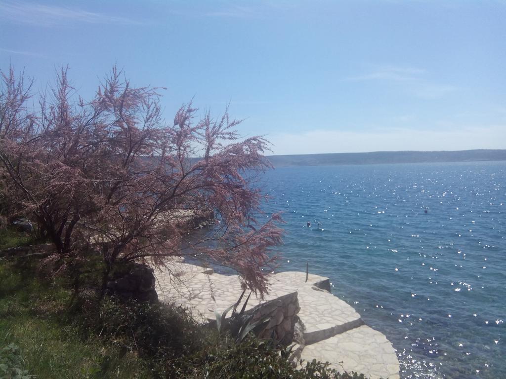 Apartments Ivanka Starigrad Paklenica Room photo